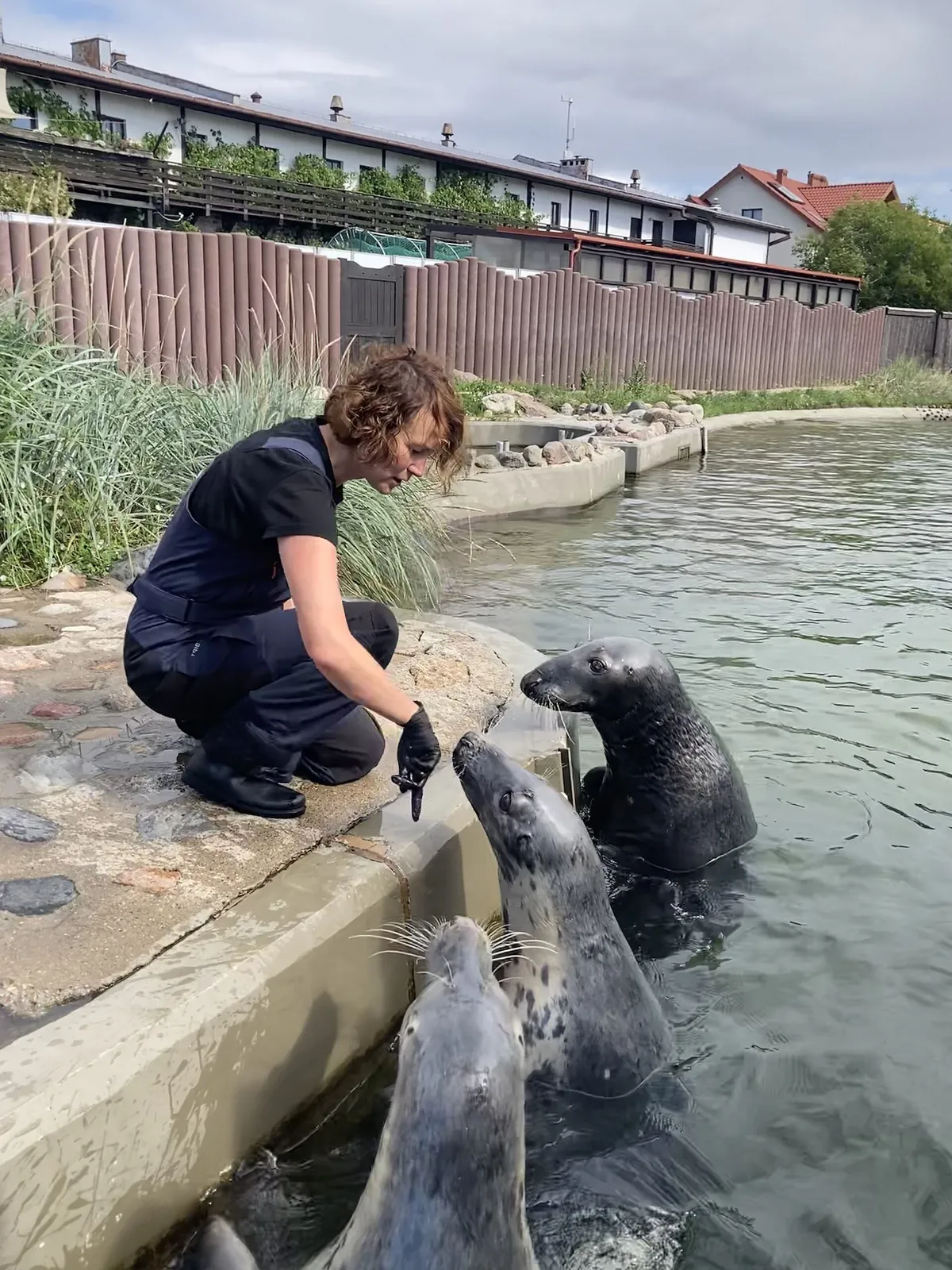 Seal Sanctuary in Hel