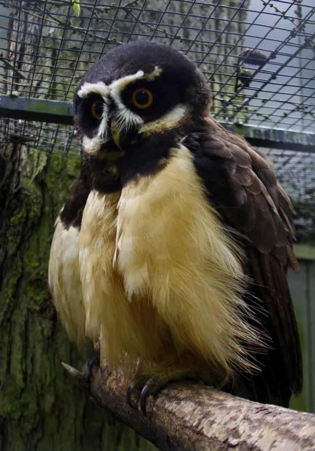 Zoo Veldhoven