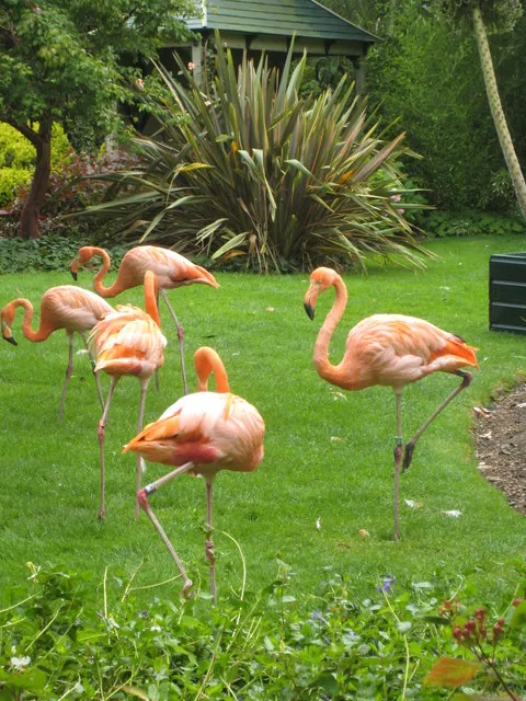 Paradise Wildlife Park