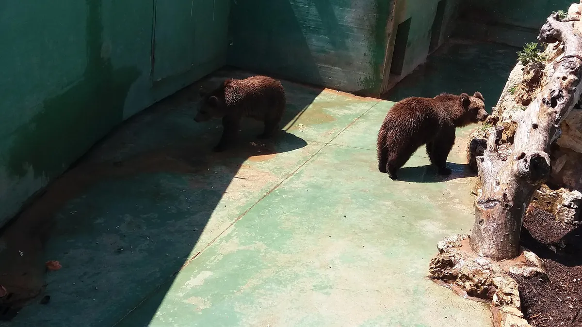 Zoosafari Fasanolandia