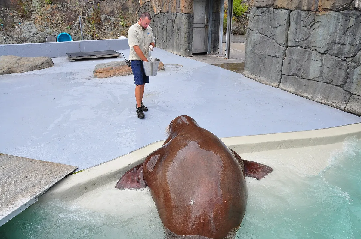 Aquarium du Québec