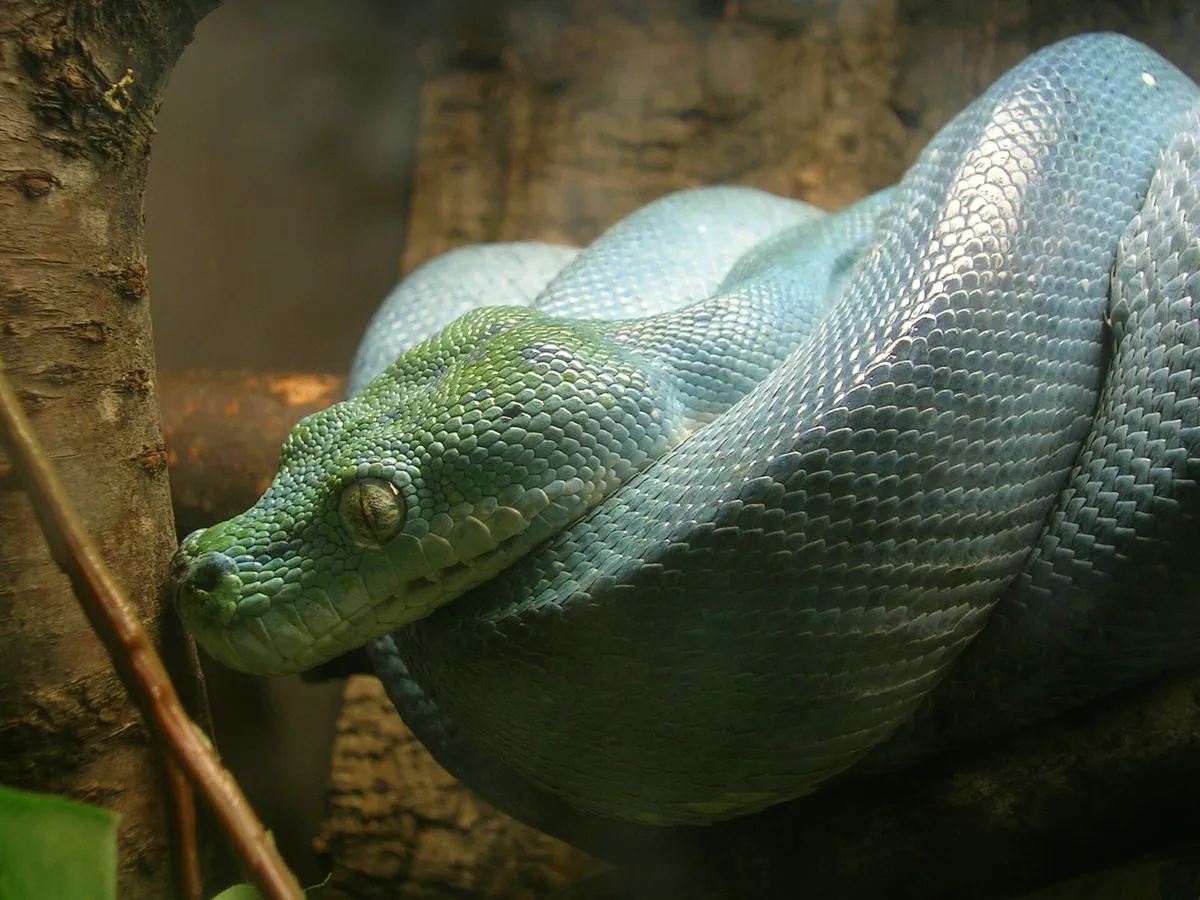 Oslo Reptilpark