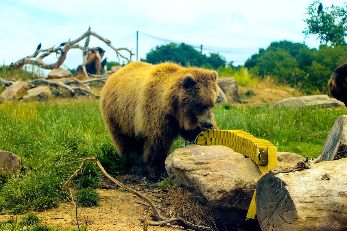 Oakland Zoo