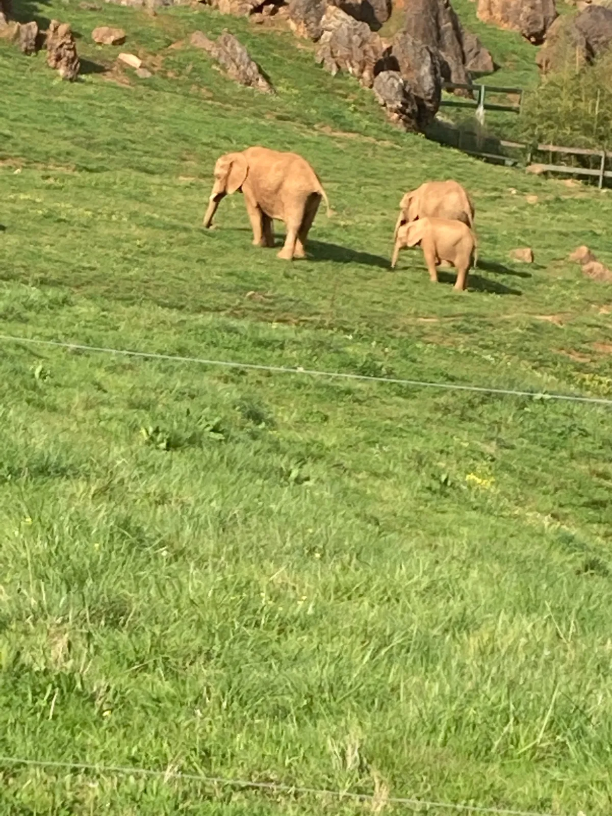 Parque de la Naturaleza de Cabárceno