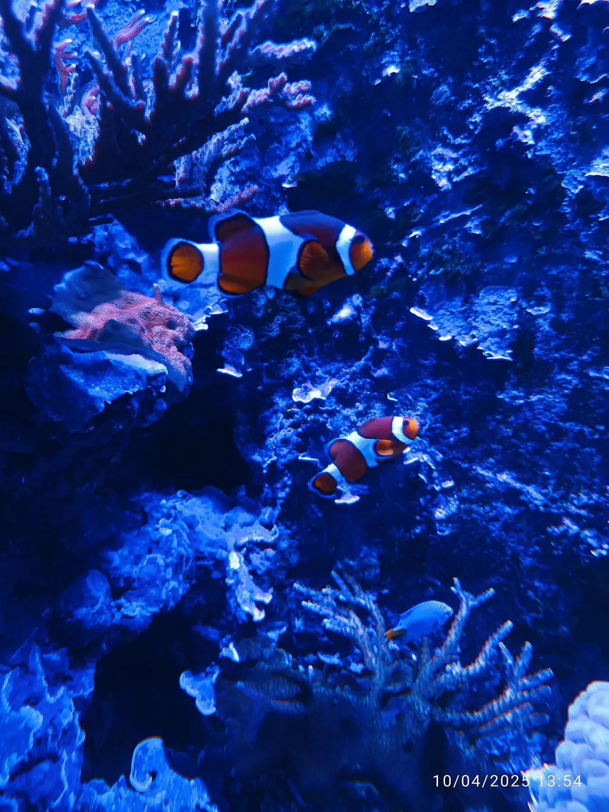 Cretaquarium