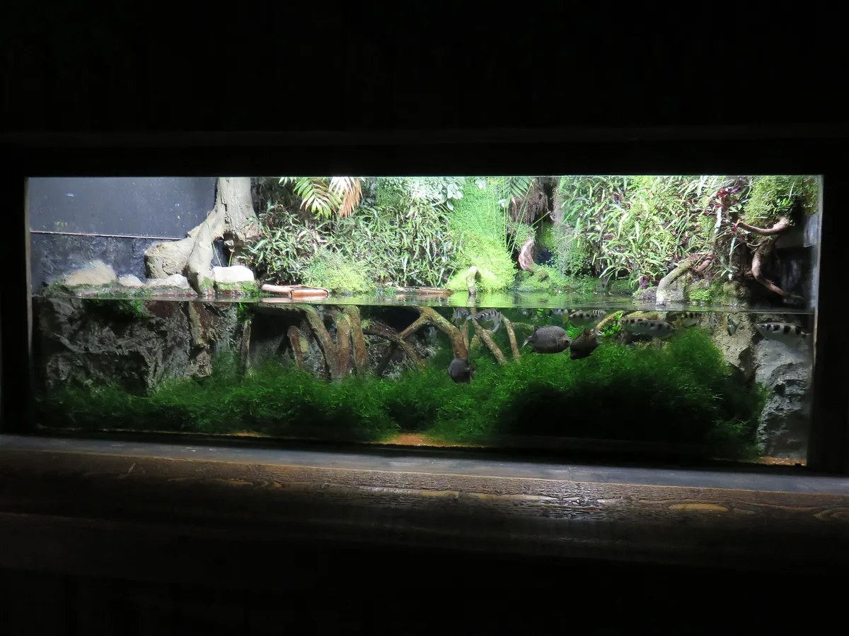 Great Aquarium Saint-Malo