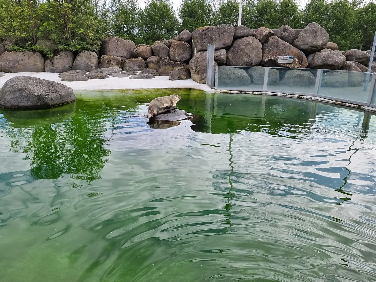 Reykjavík Park and Zoo