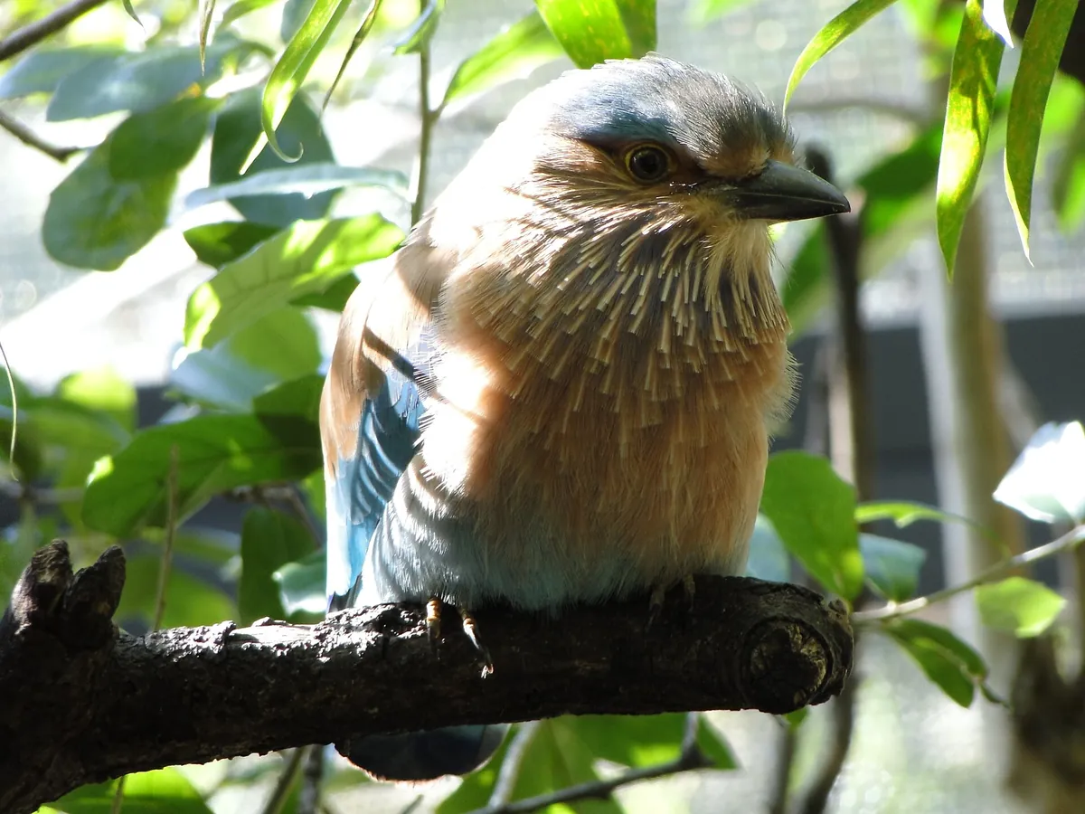 Palm Beach Zoo