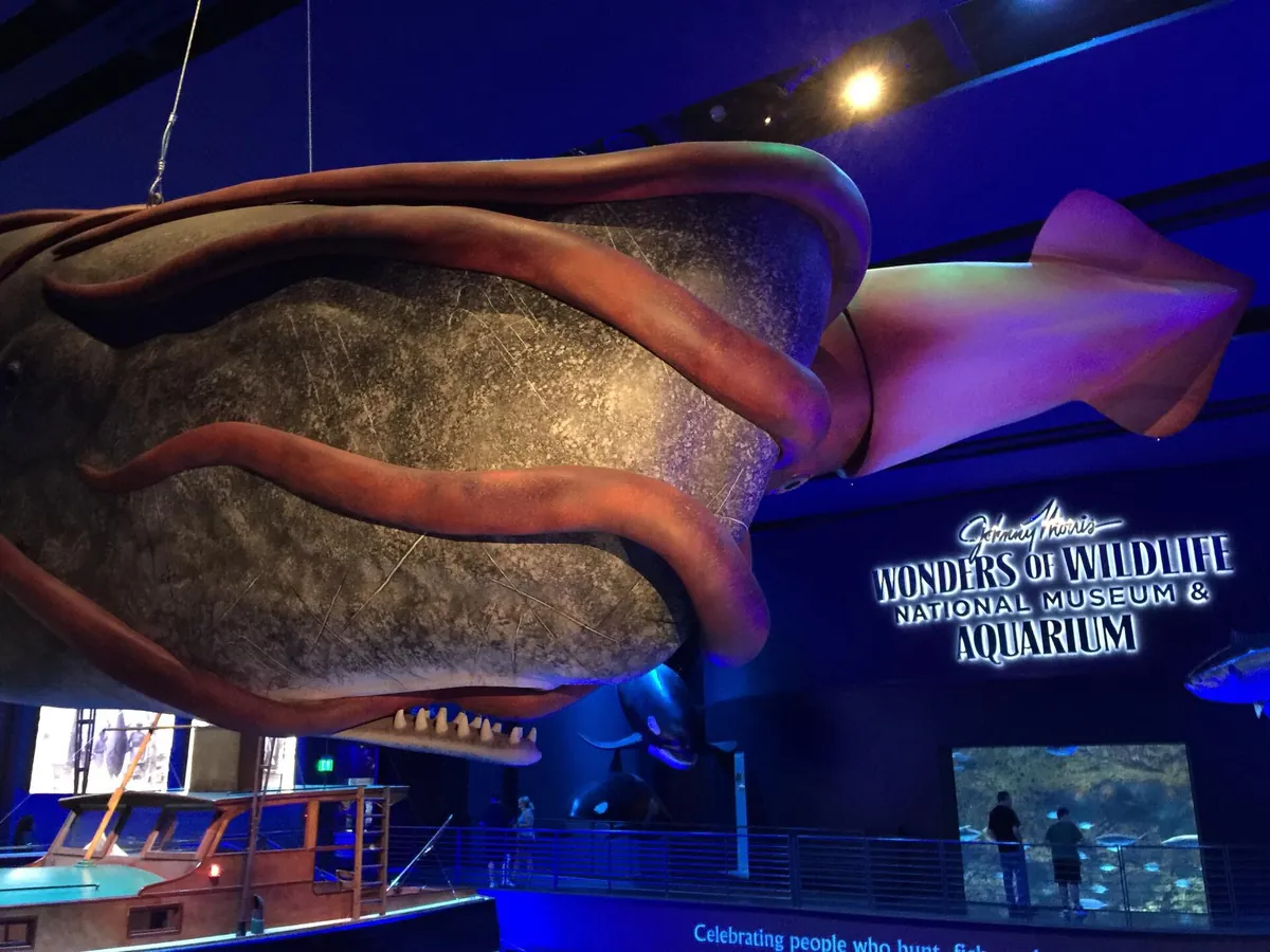 Johnny Morris' Wonders of Wildlife National Museum & Aquarium