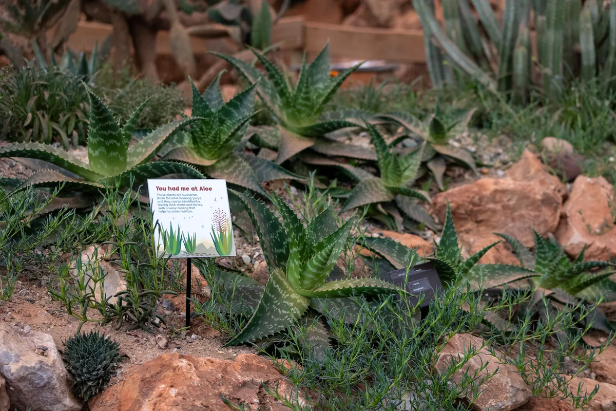 Paignton Zoo Environmental Park
