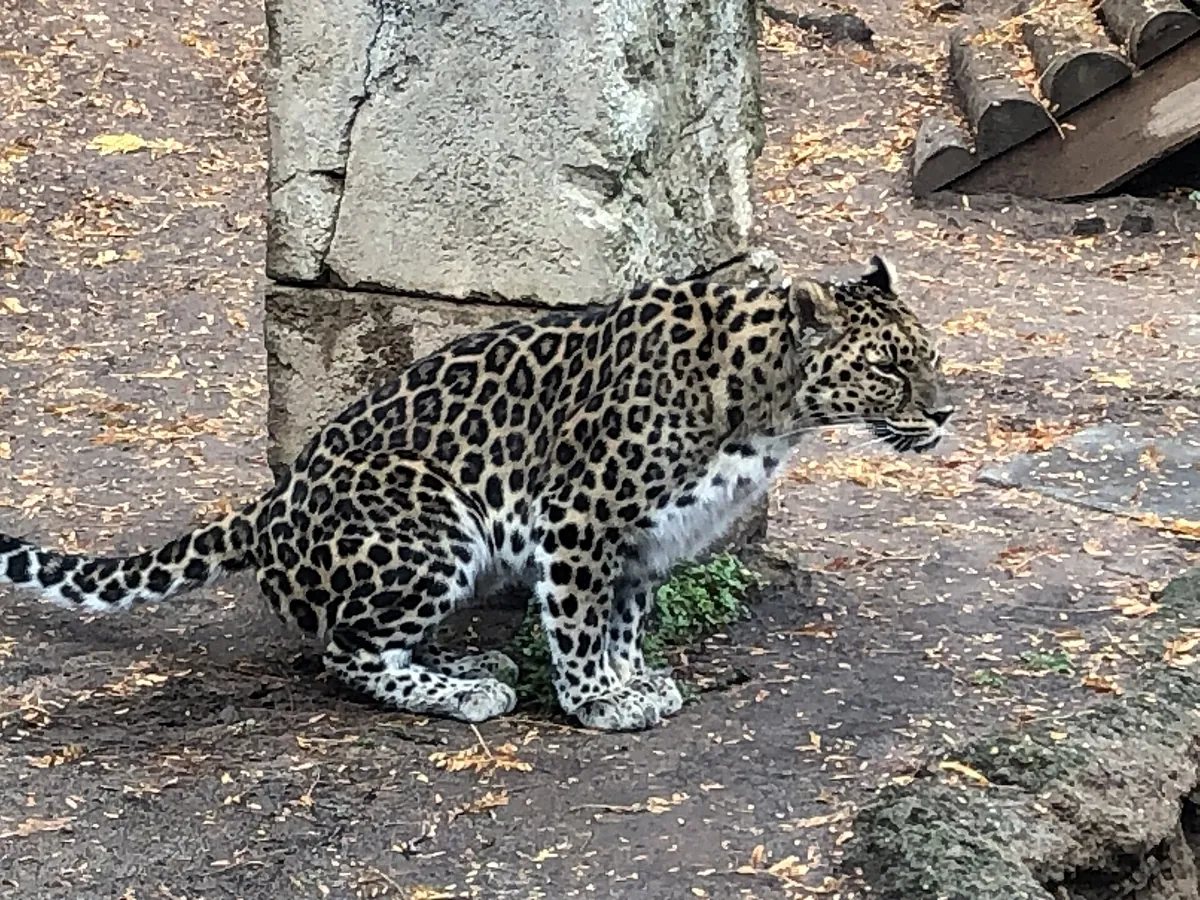 Philadelphia Zoo