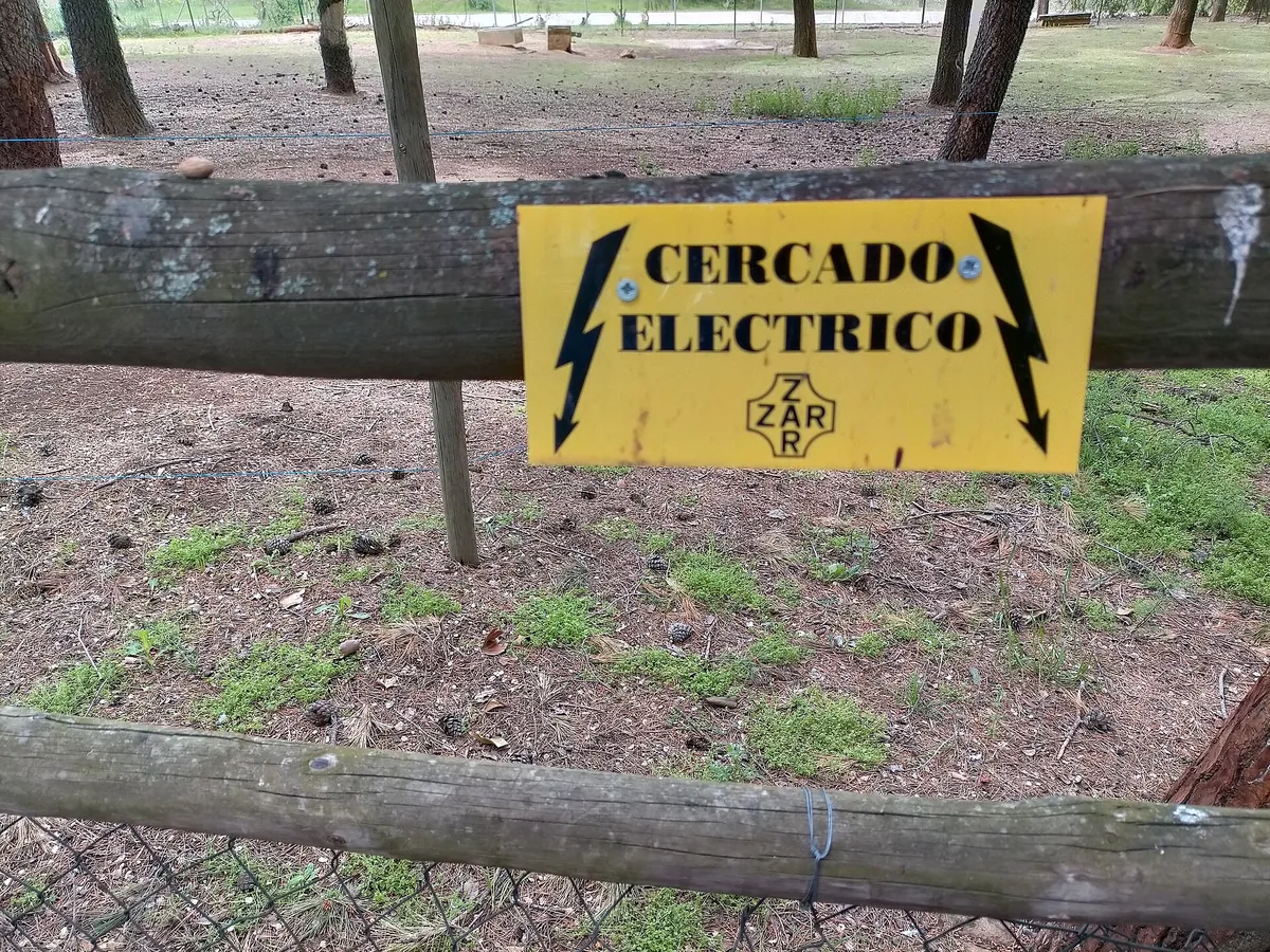 PARQUE ZOOLÓGICO DE GUADALAJARA