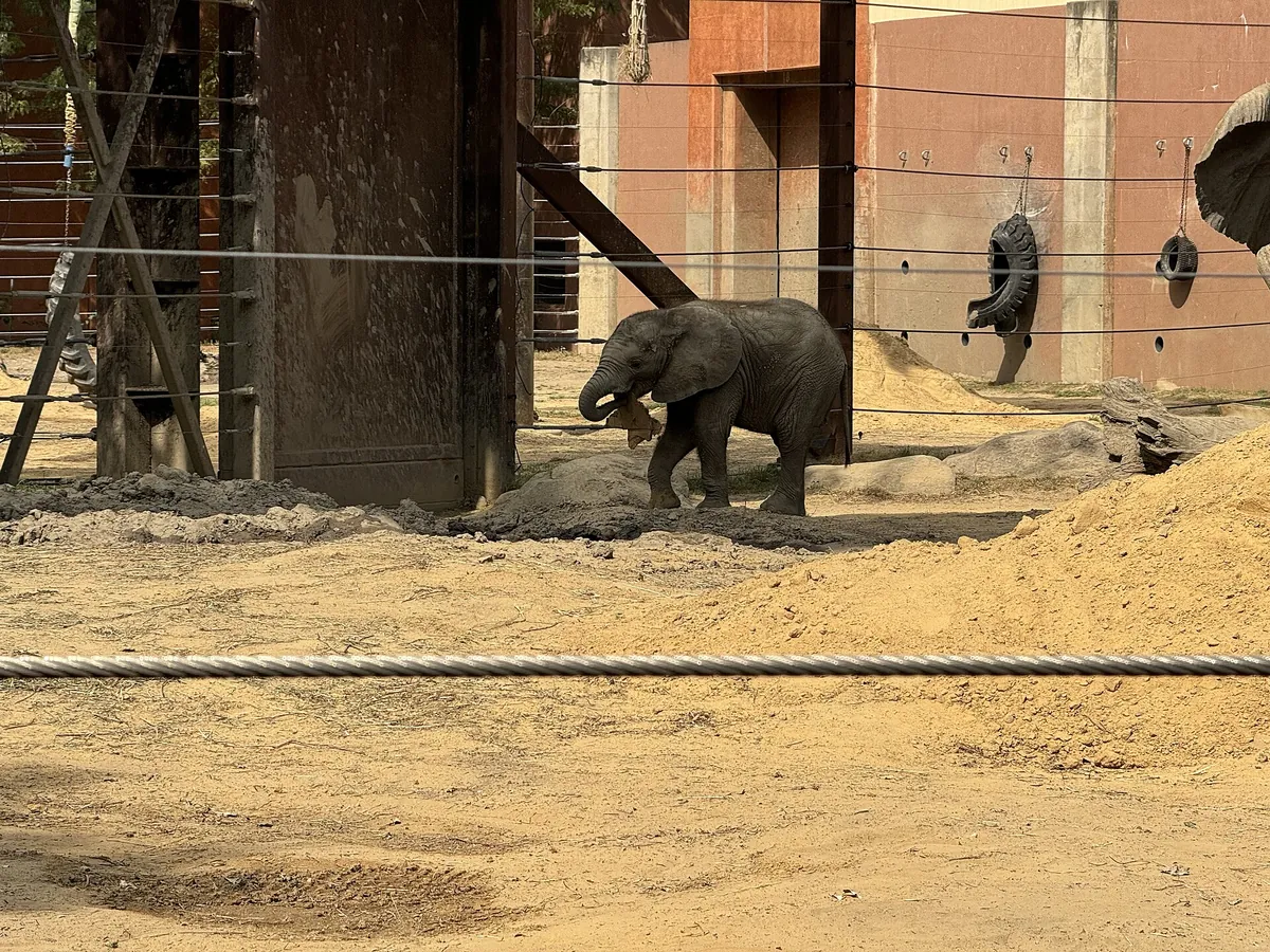 Toledo Zoo