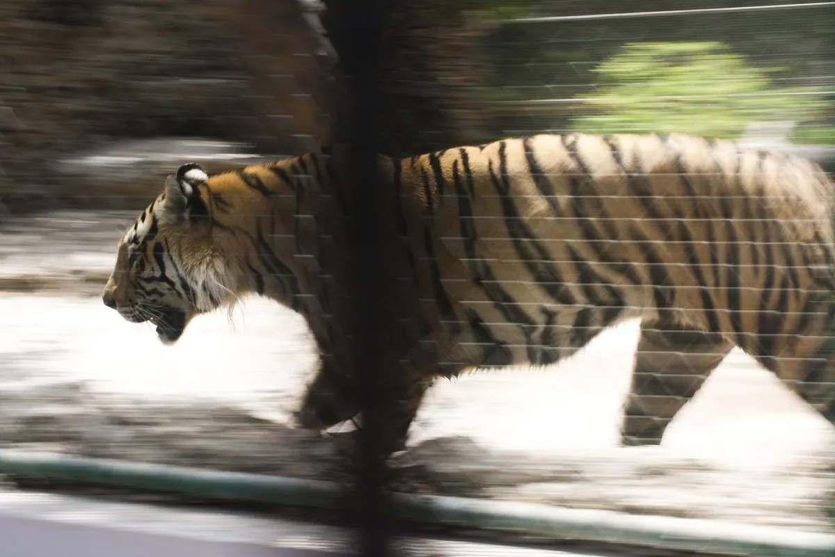 Karachi Zoo