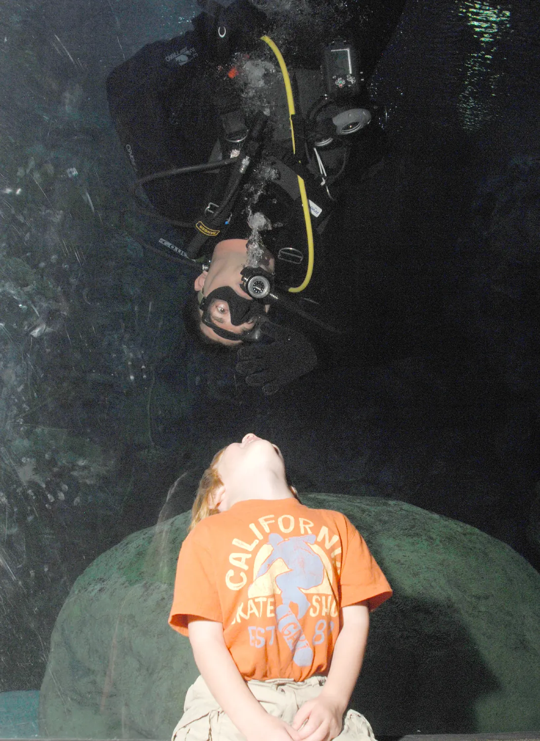Omaha's Henry Doorly Zoo & Aquarium