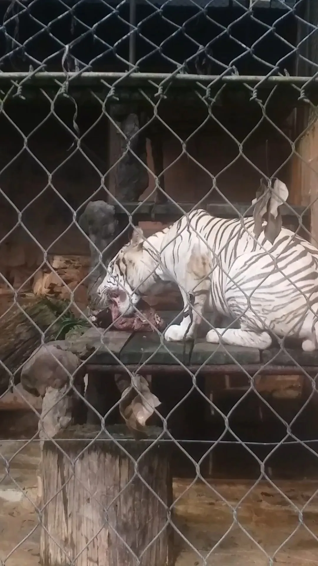 Emperor Valley Zoo