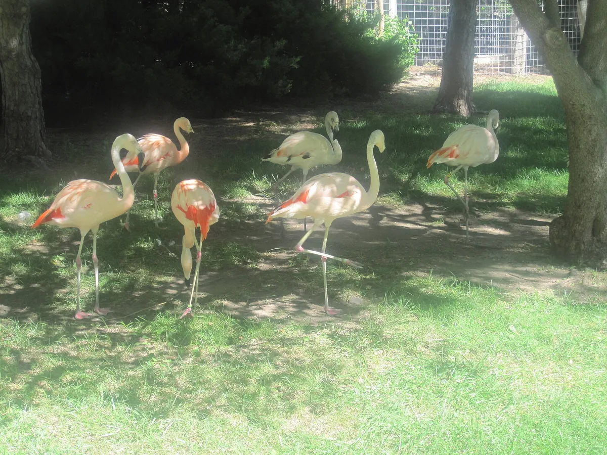 Lee Richardson Zoo