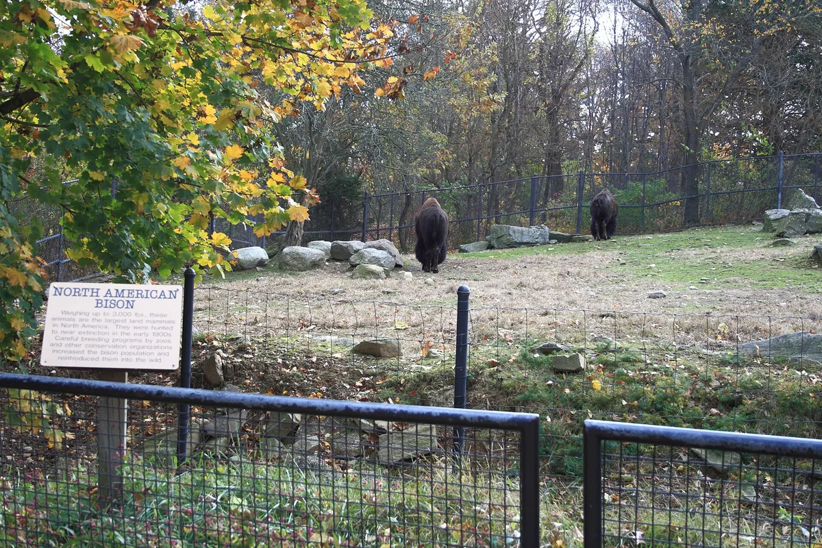 Connecticut's Beardsley Zoo
