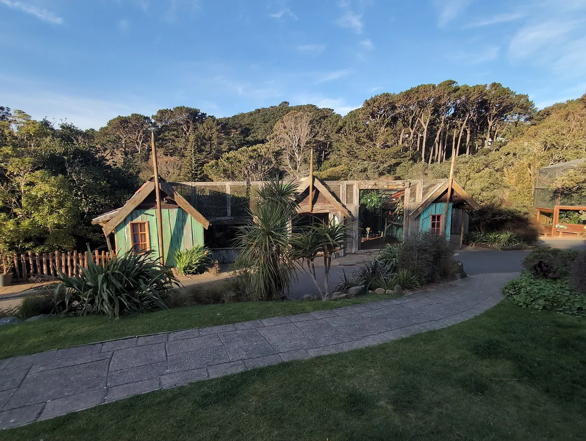 Wellington Zoo