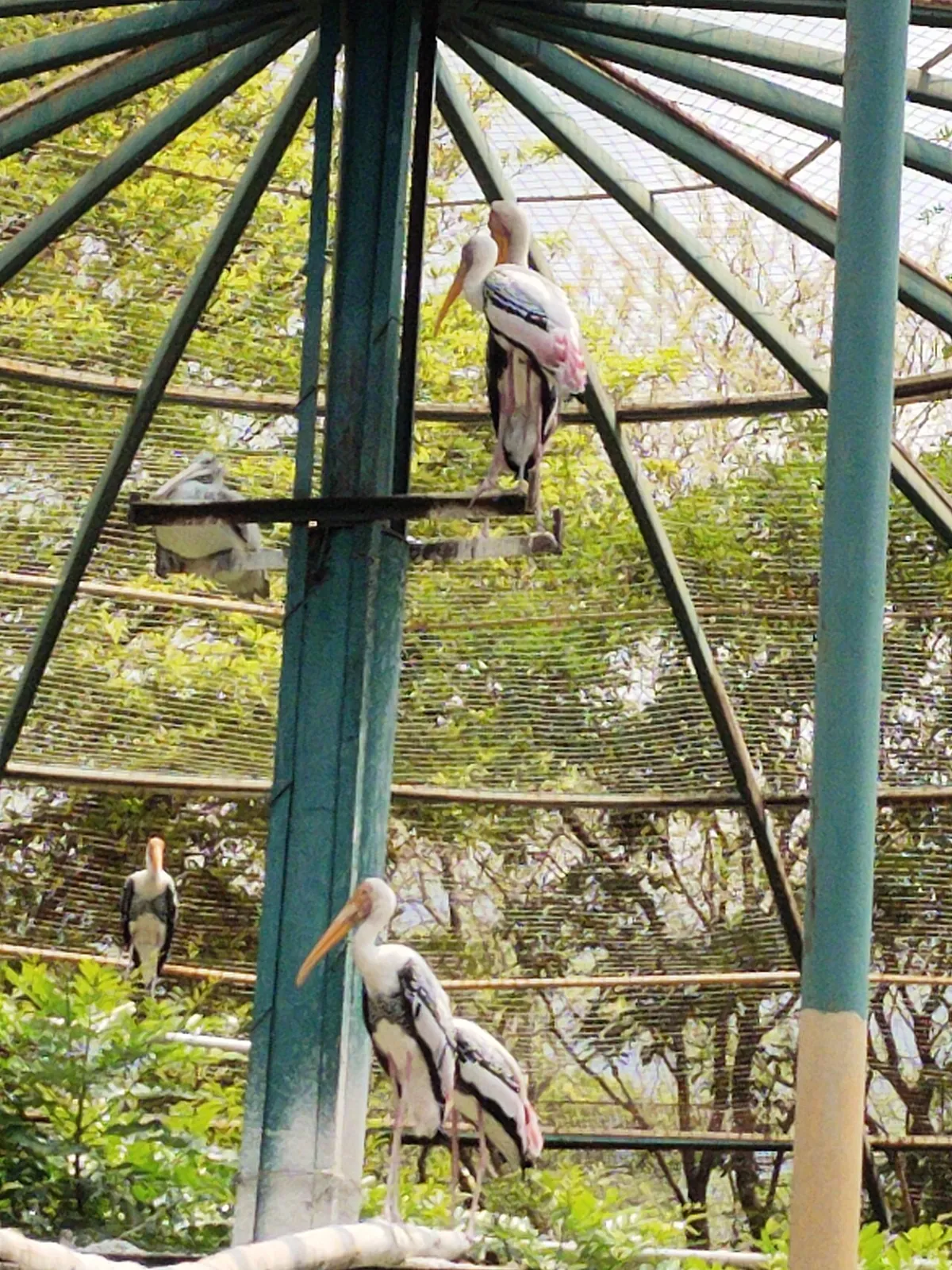 Kurumbapatti Zoological Park