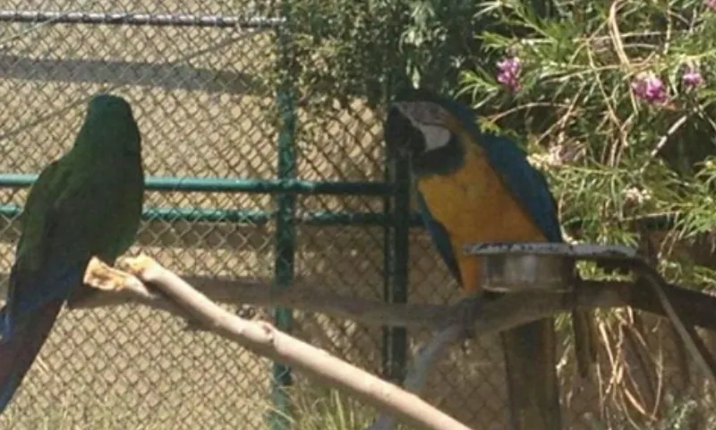 El Paso Zoo