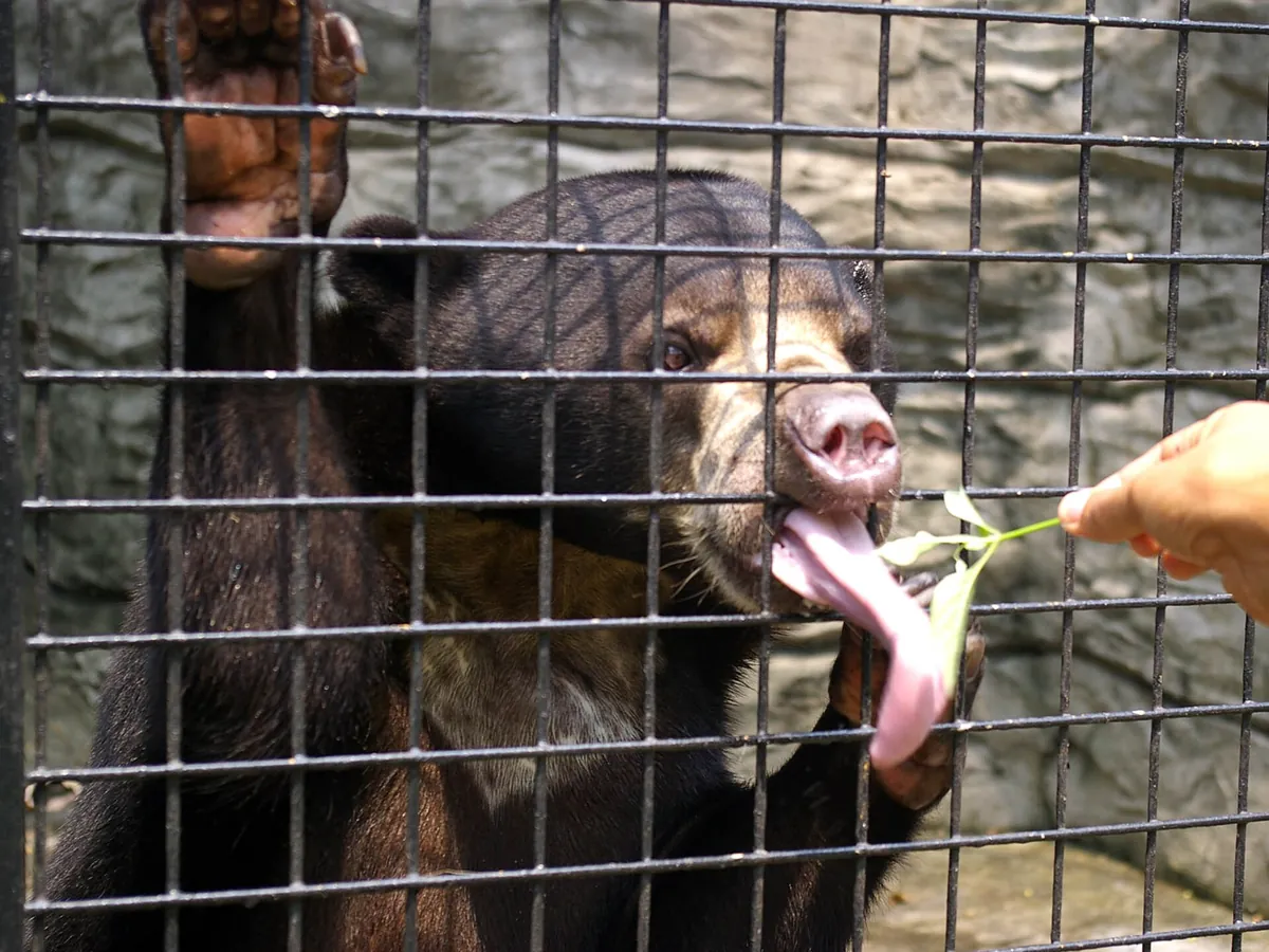 Avilon Zoo
