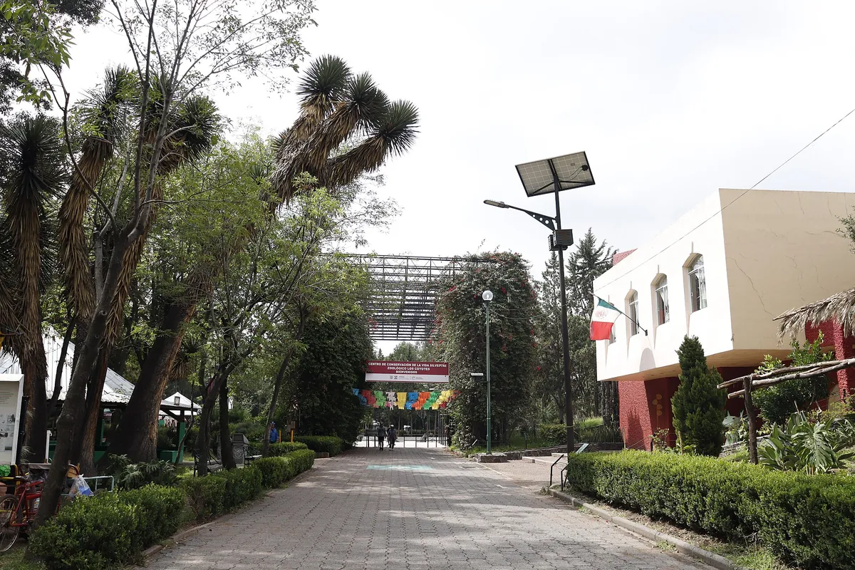 Zoológico Los Coyotes
