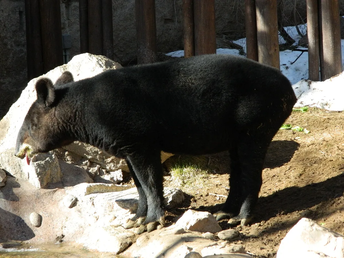 Cheyenne Mountain Zoological Park