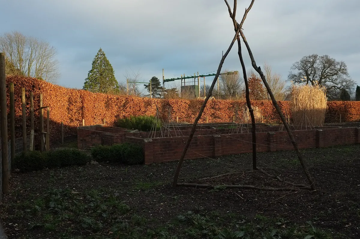 Bristol Zoo Project