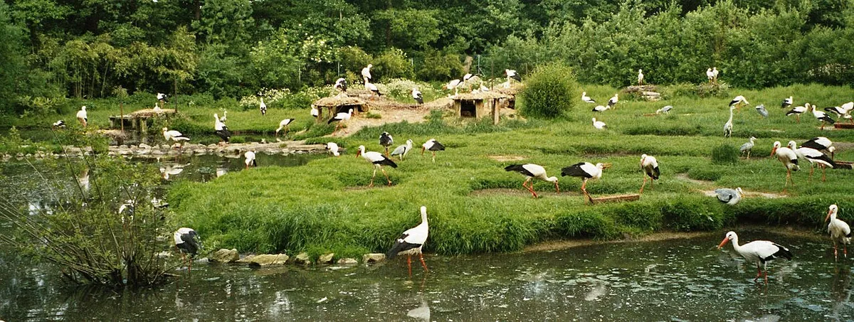 Naturzoo Rheine