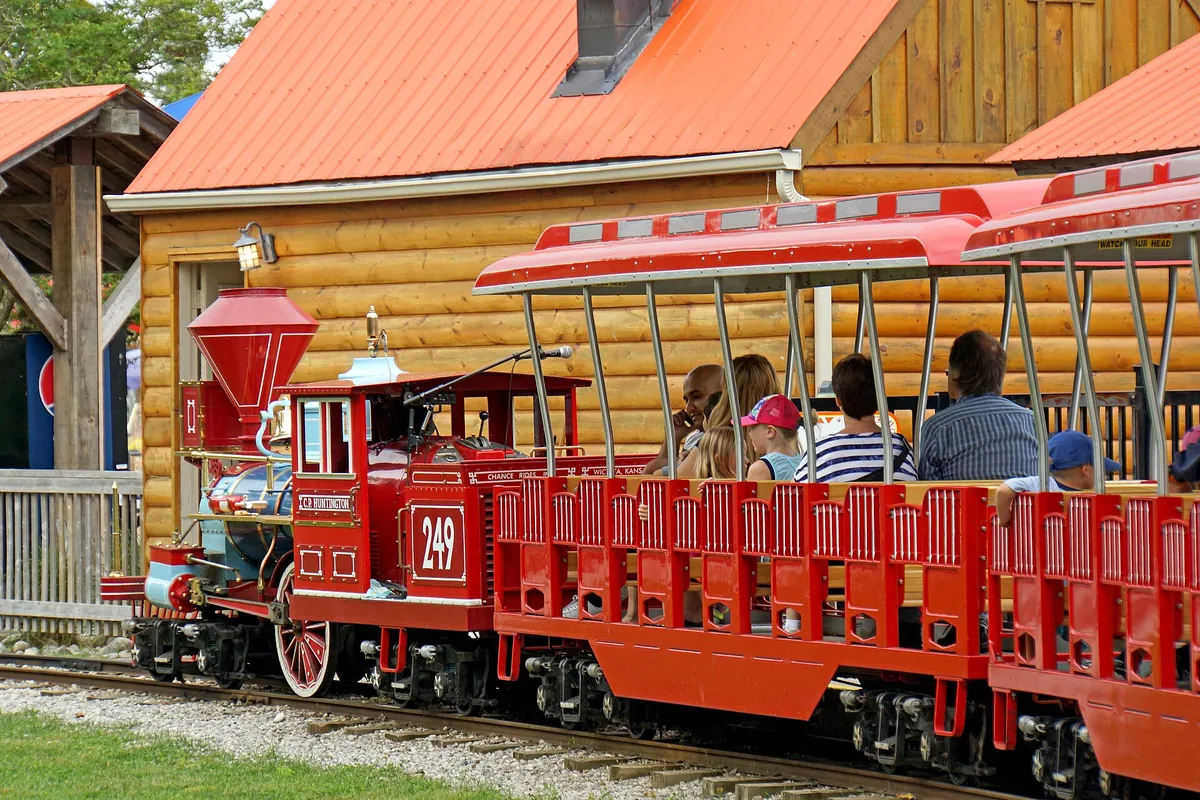 African Lion Safari