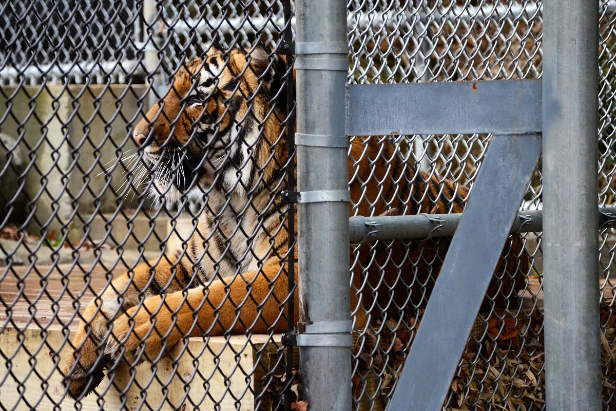 Zoo Knoxville
