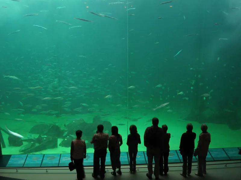 Nordsøen Oceanarium