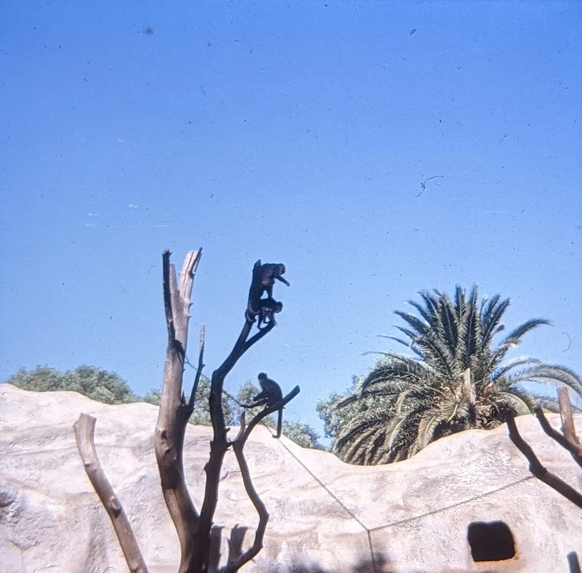 Sacramento Zoo