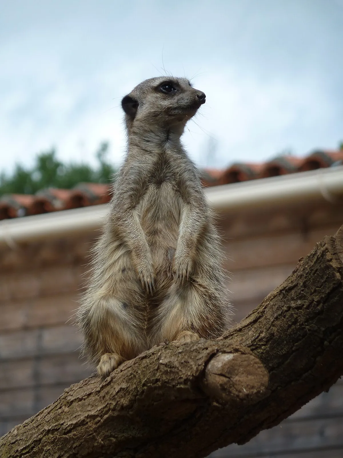 Natur'Zoo de Mervent