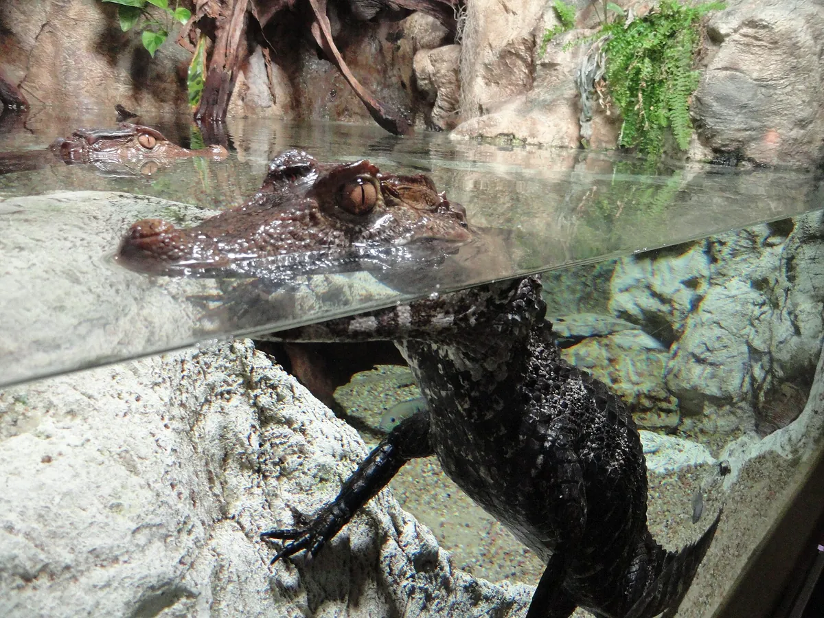 Aquarium du Limousin