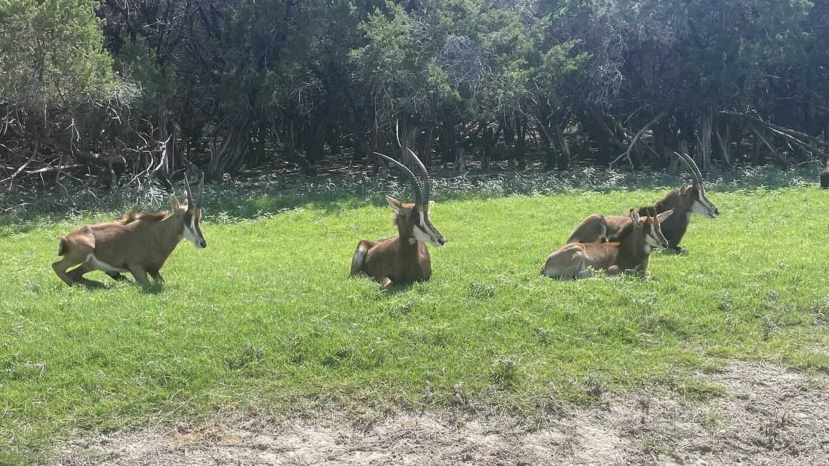 Fossil Rim Wildlife Center