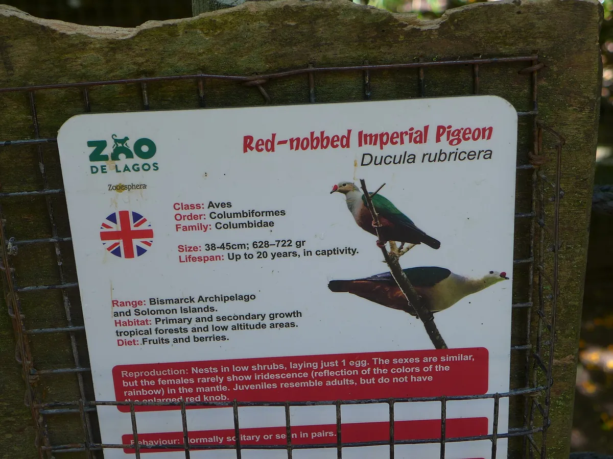 ZOO DE LAGOS