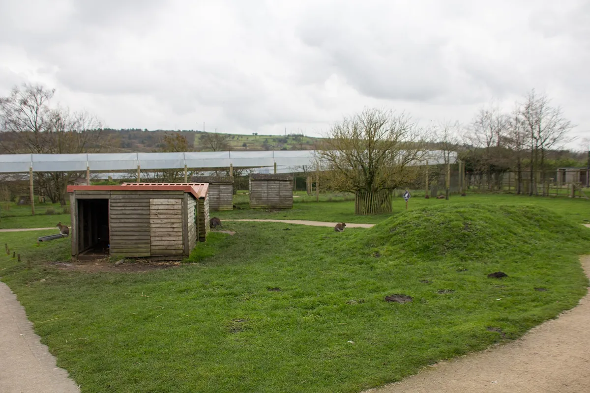 Peak Wildlife Park