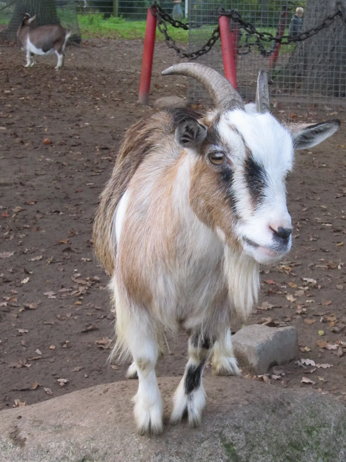 Wild- und Freizeitpark Ostrittrum