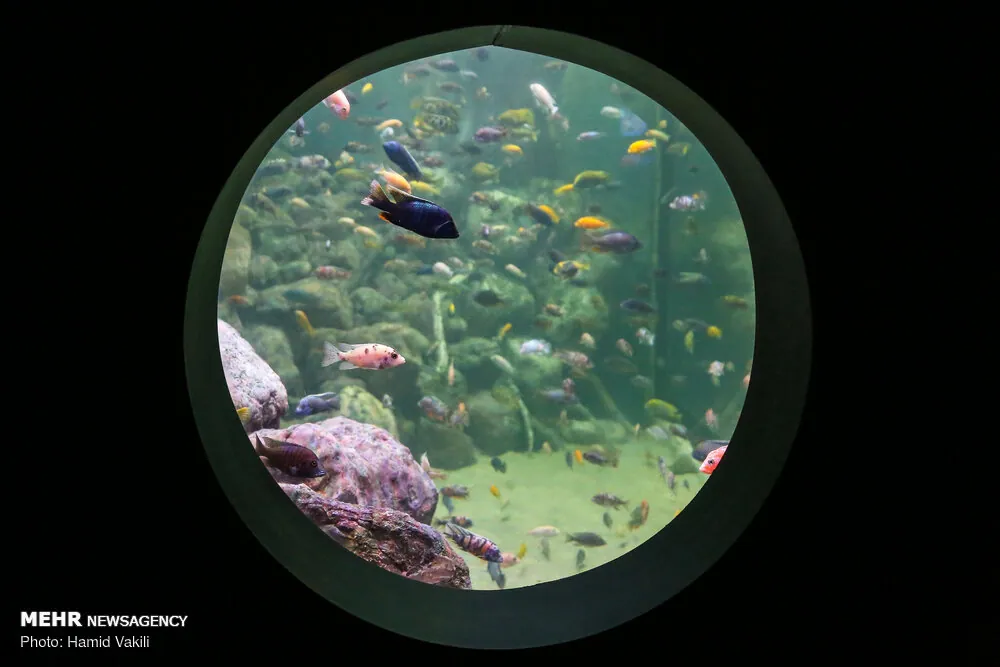 Isfahan Aquarium