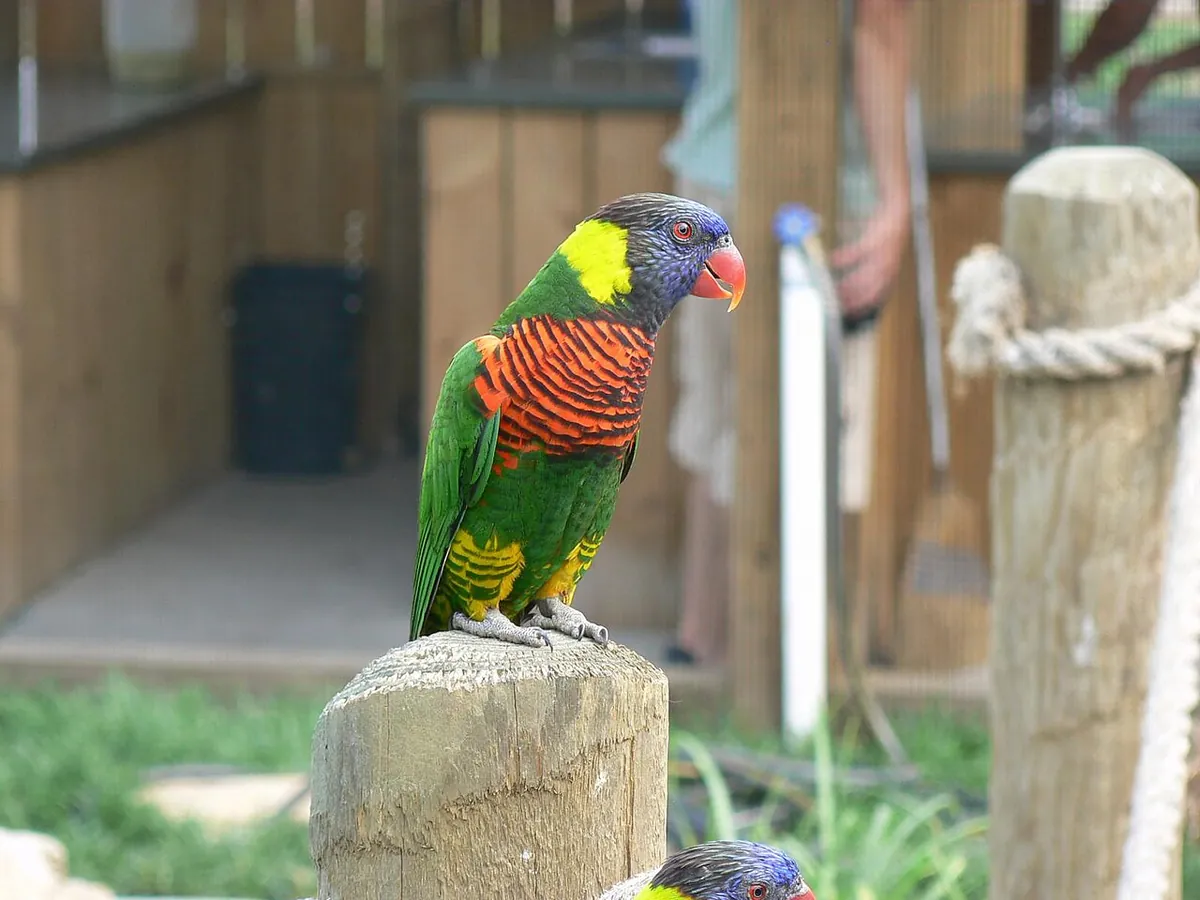 Tanganyika Wildlife Park