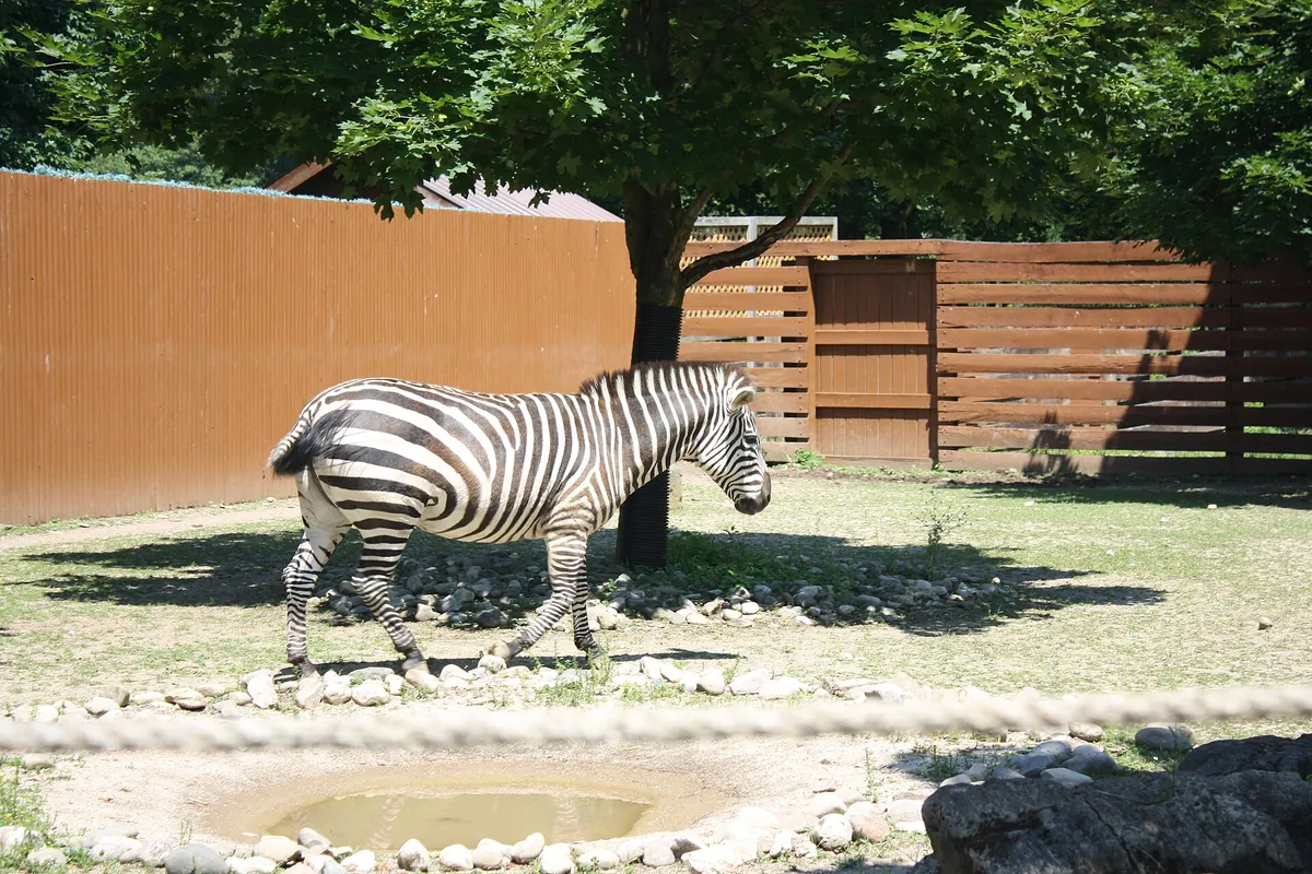 Lehigh Valley Zoo