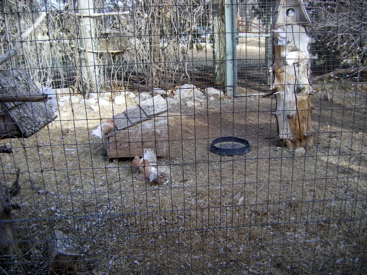 Amarillo Zoo