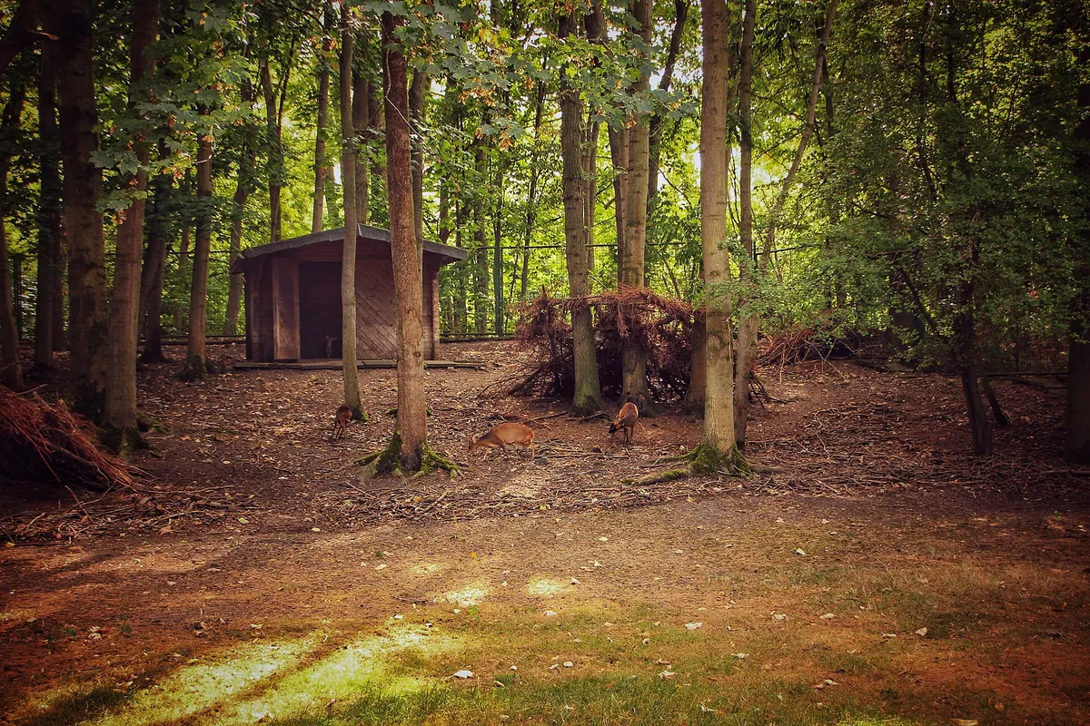 Tierpark Gotha