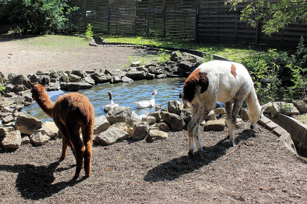Tierpark Bad Kösen