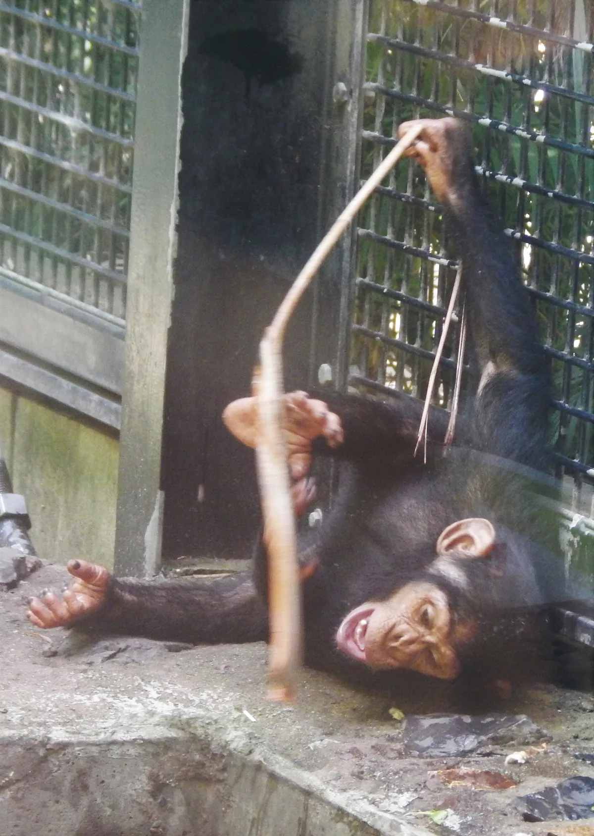 Rockhampton Zoo