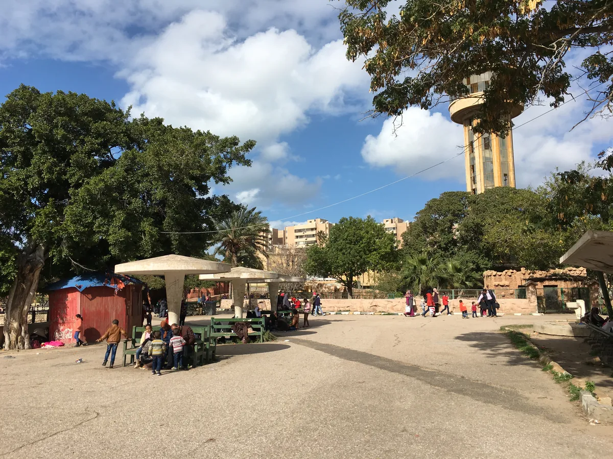 Alexandria Zoo