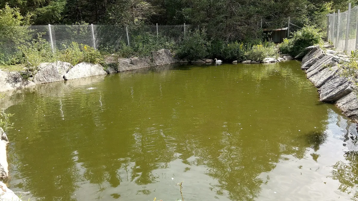 Zoo de Falardeau