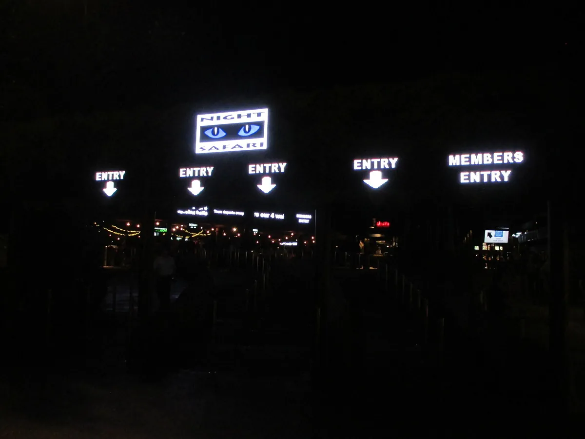 Night Safari